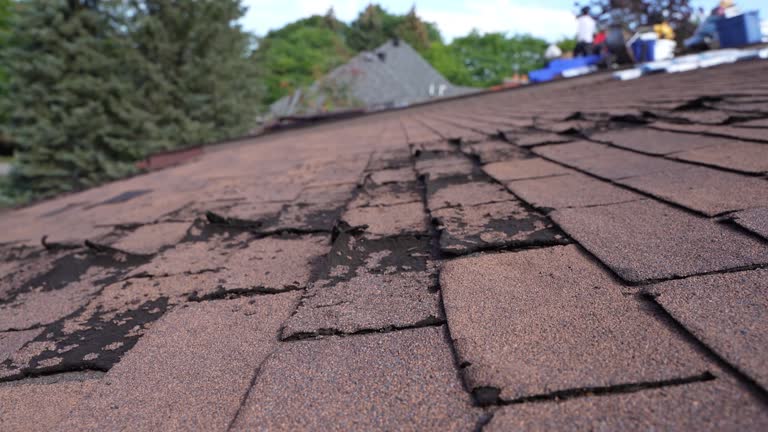 Best Rubber Roofing (EPDM, TPO)  in Manche North Shore, CA