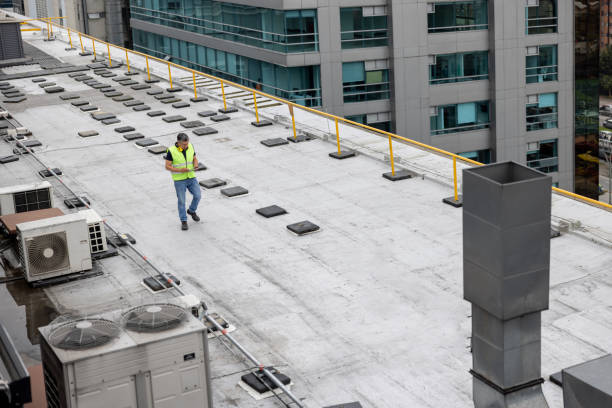 Best Asphalt Shingle Roofing  in Manche North Shore, CA